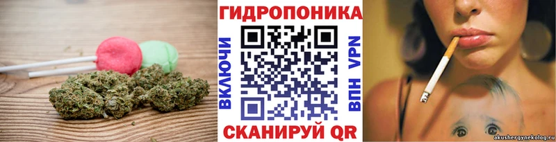 Купить закладки  Игарка  Canna-Cookies конопля 