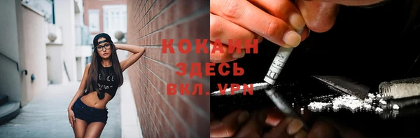 стафф Инсар